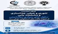  جداسازی سلول های مزانشیمی از مغز استخوان موش
